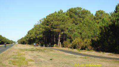 DSCN0677