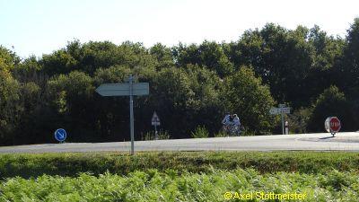 DSCN0697