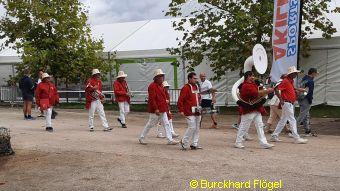 signal-2024-09-08-16-43-15-632-2--a