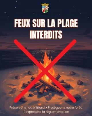 Feuer_am_Strand_verboten__320_x_400_