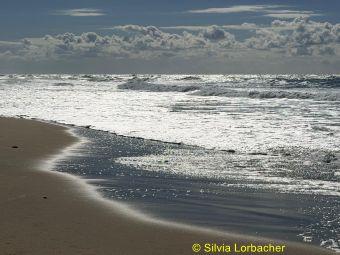 IMG-20261024-WA0002